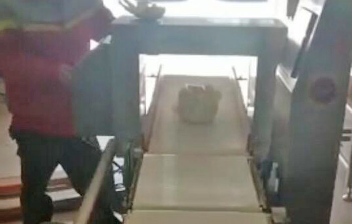 金檢稱(chēng)重一體機(jī) 蔬菜